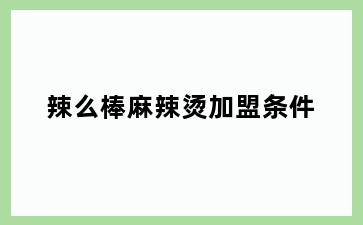 辣么棒麻辣烫加盟条件