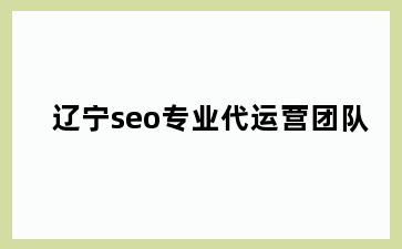 辽宁seo专业代运营团队