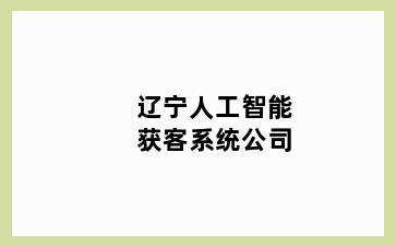 辽宁人工智能获客系统公司