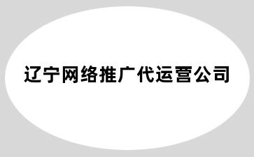 辽宁网络推广代运营公司