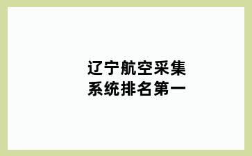 辽宁航空采集系统排名第一
