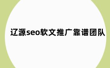 辽源seo软文推广靠谱团队