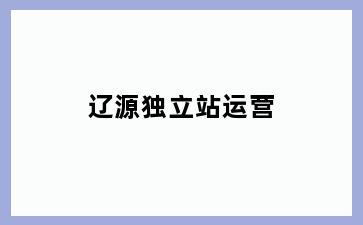 辽源独立站运营