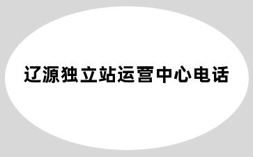 辽源独立站运营中心电话