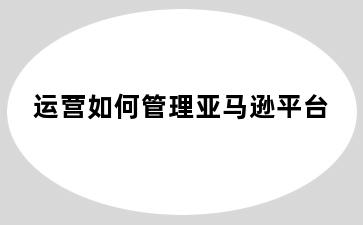 运营如何管理亚马逊平台