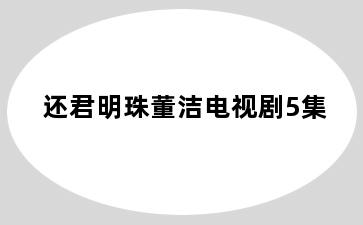 还君明珠董洁电视剧5集