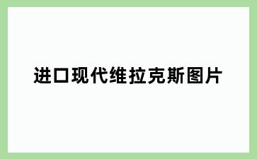 进口现代维拉克斯图片