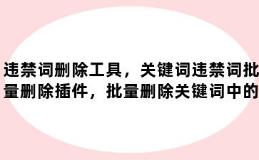 违禁词删除工具，关键词违禁词批量删除插件，批量删除关键词中的违禁词