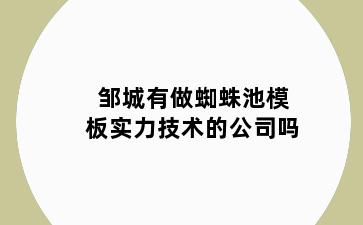 邹城有做蜘蛛池模板实力技术的公司吗