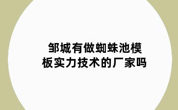 邹城有做蜘蛛池模板实力技术的厂家吗