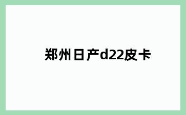 郑州日产d22皮卡