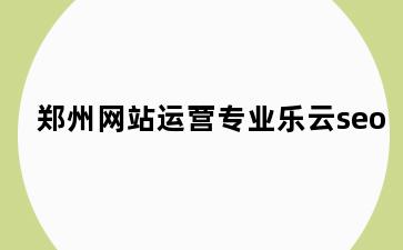 郑州网站运营专业乐云seo