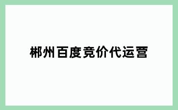 郴州百度竞价代运营