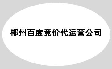 郴州百度竞价代运营公司