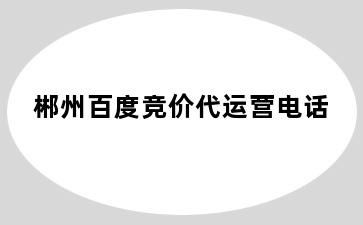 郴州百度竞价代运营电话
