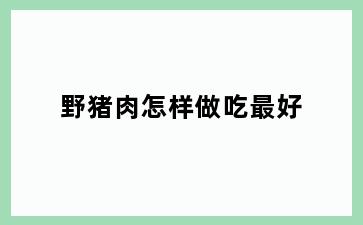 野猪肉怎样做吃最好