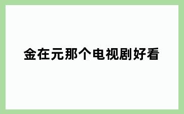 金在元那个电视剧好看