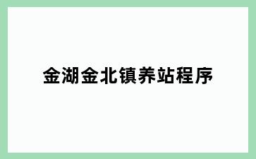 金湖金北镇养站程序