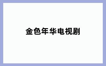 金色年华电视剧