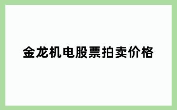 金龙机电股票拍卖价格
