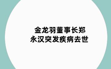 金龙羽董事长郑永汉突发疾病去世