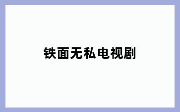 铁面无私电视剧