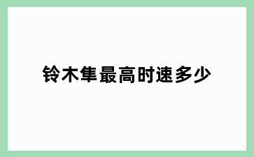 铃木隼最高时速多少