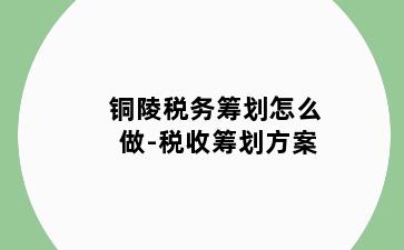 铜陵税务筹划怎么做-税收筹划方案