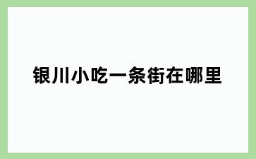 银川小吃一条街在哪里