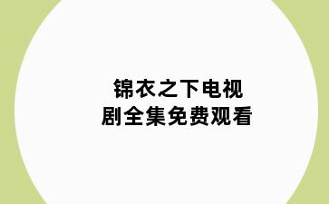 锦衣之下电视剧全集免费观看