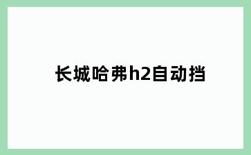 长城哈弗h2自动挡