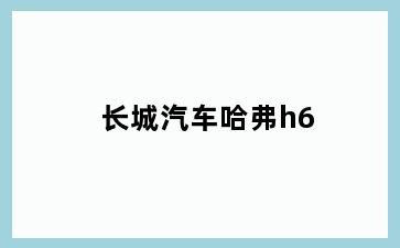 长城汽车哈弗h6
