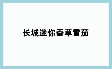 长城迷你香草雪茄
