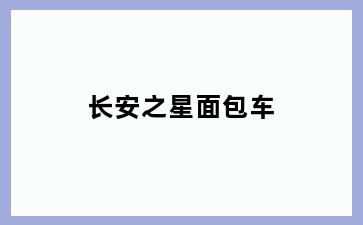 长安之星面包车