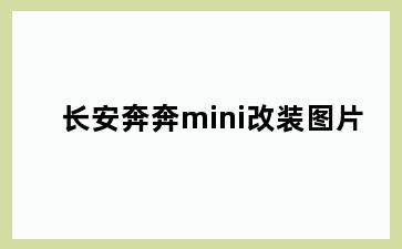 长安奔奔mini改装图片