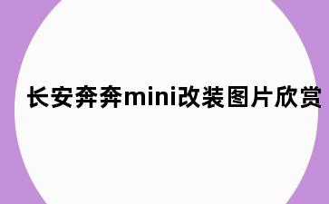 长安奔奔mini改装图片欣赏