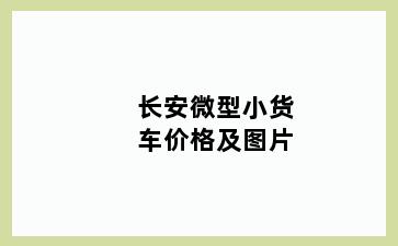 长安微型小货车价格及图片