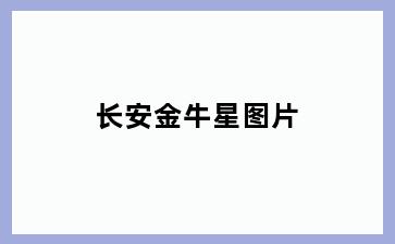 长安金牛星图片