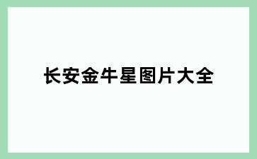 长安金牛星图片大全