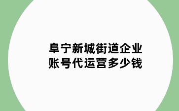 阜宁新城街道企业账号代运营多少钱