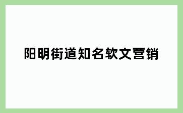 阳明街道知名软文营销