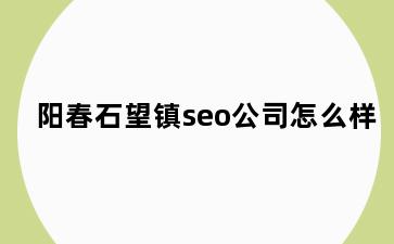 阳春石望镇seo公司怎么样