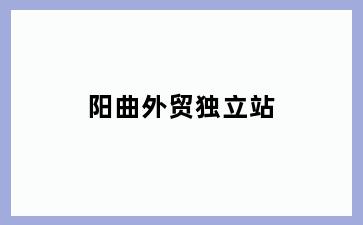 阳曲外贸独立站