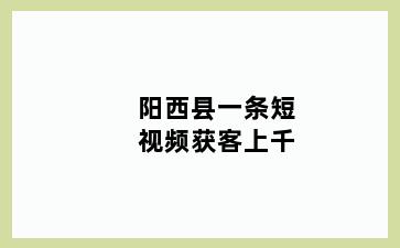 阳西县一条短视频获客上千