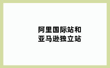 阿里国际站和亚马逊独立站