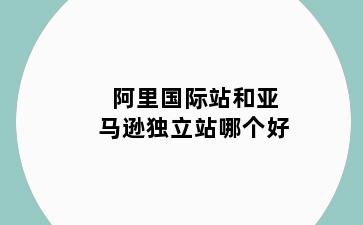 阿里国际站和亚马逊独立站哪个好