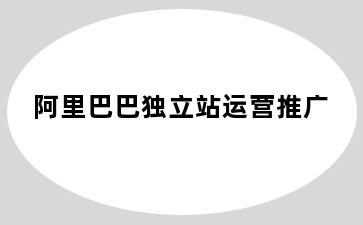 阿里巴巴独立站运营推广