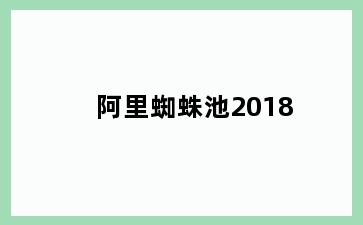 阿里蜘蛛池2018