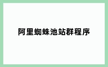 阿里蜘蛛池站群程序
