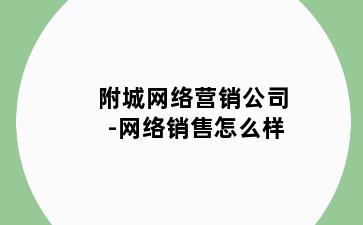 附城网络营销公司-网络销售怎么样